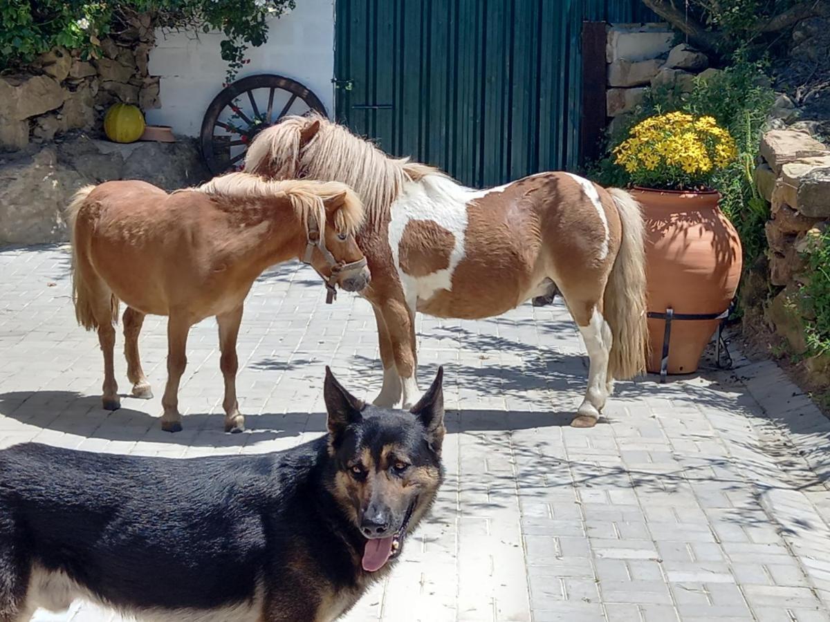 Casinha De Campo- Quintinha Dos Cavalos- Arruda Dos Vinhos Exterior photo