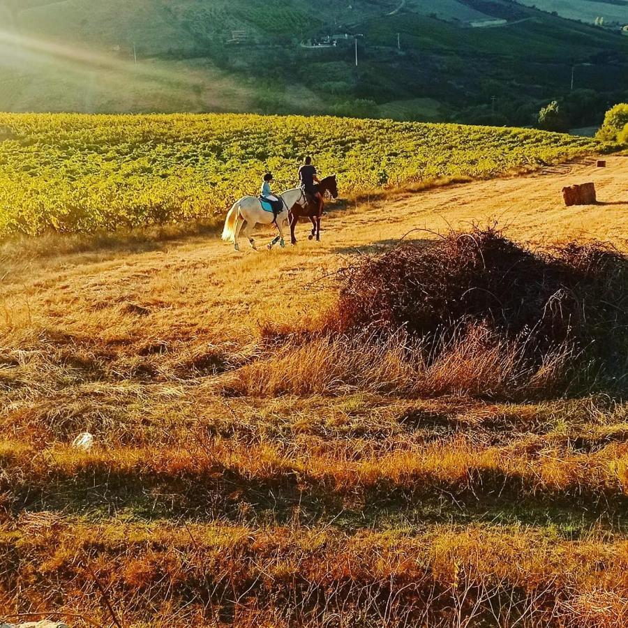 Casinha De Campo- Quintinha Dos Cavalos- Arruda Dos Vinhos Exterior photo
